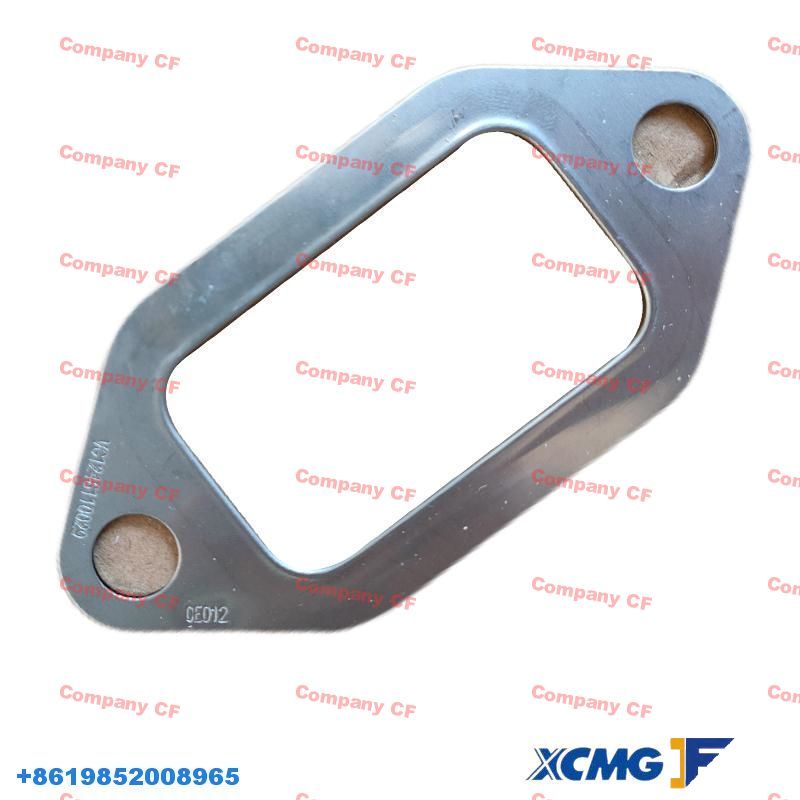 Exhaust gasket VG1246110029